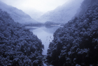 Fiordland10195.jpg